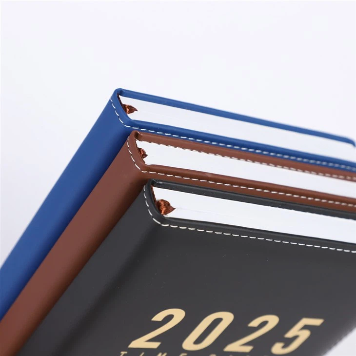 Daily Planner 2025