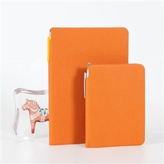 Deri masa günlüğü